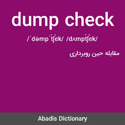 معنی dump check